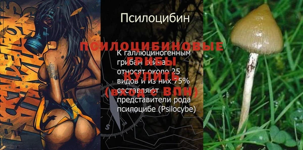 крисы Балахна