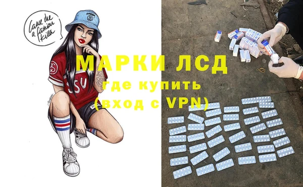 ПСИЛОЦИБИНОВЫЕ ГРИБЫ Арсеньев