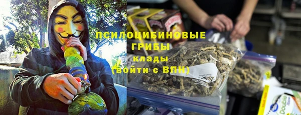 ПСИЛОЦИБИНОВЫЕ ГРИБЫ Арсеньев