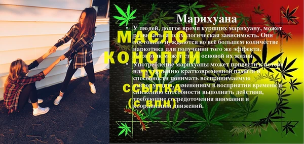 ПСИЛОЦИБИНОВЫЕ ГРИБЫ Арсеньев