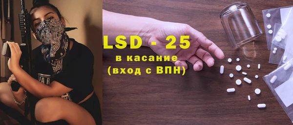 PSILOCYBIN Михайлов