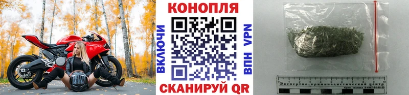 Каннабис ГИДРОПОН  Коломна 